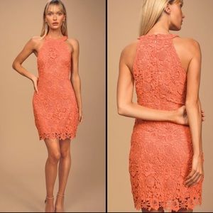 Lulus Love Poem Coral Lace Mini Dress